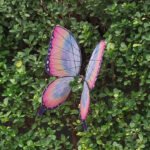 CTorque Bio‑inspired Butterfly