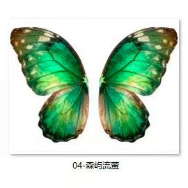 Bionic Butterfly Colorful Wing Pattern
