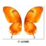 Bionic Butterfly Colorful Wing Pattern