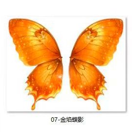 Bionic Butterfly Colorful Wing Pattern