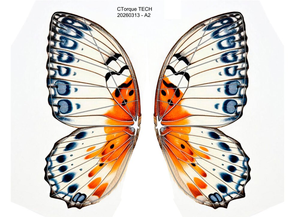 Bionic Butterfly Colorful Wing Pattern
