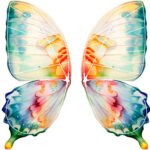 Bionic Butterfly Colorful Wing Pattern
