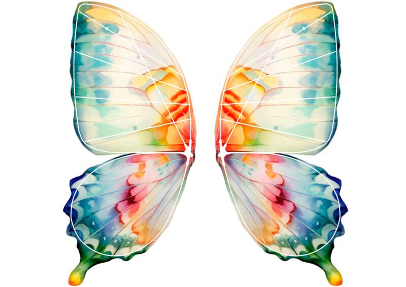 Bionic Butterfly Colorful Wing Pattern
