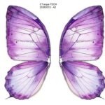 Bionic Butterfly Colorful Wing Pattern