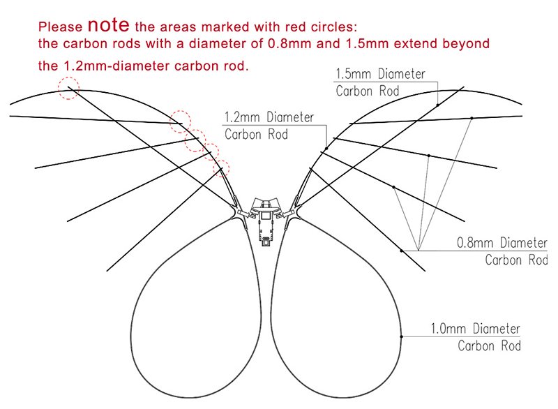 Structure Diagram of Bionic Butterfly Wings